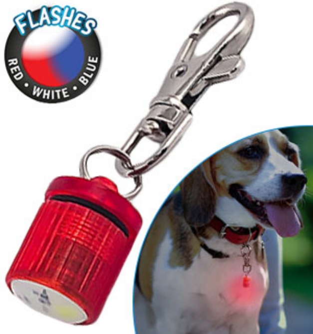 Picture 1 of Flashing LED Light Pet Blinker's - For Dogs and Cats