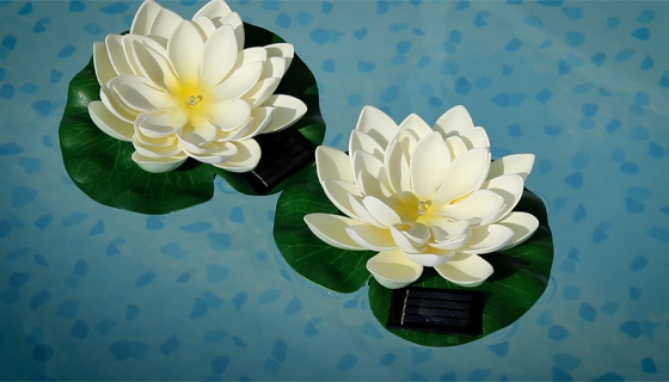 Picture 2 of Solar Floating Lotus Flower Lights 2-Pack