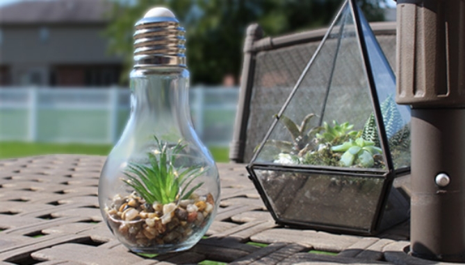 Picture 2 of Light-up Terrarium Glass Light Bulbs - Set of 2
