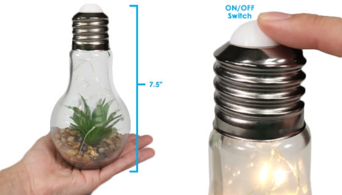 Picture 3 of Light-up Terrarium Glass Light Bulbs - Set of 2