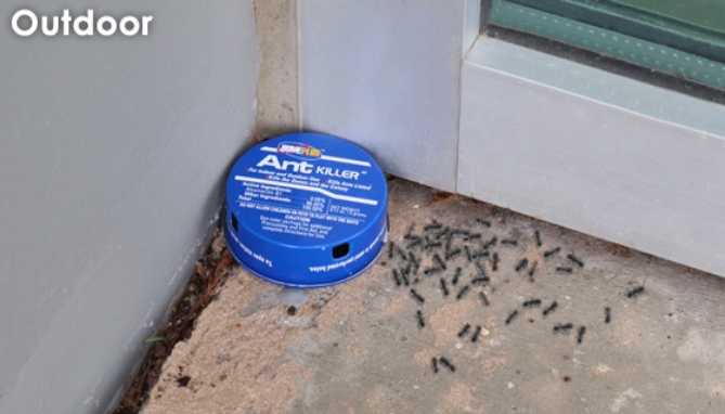 Picture 3 of HomePlus Ant Killer Bait Stations 6pk