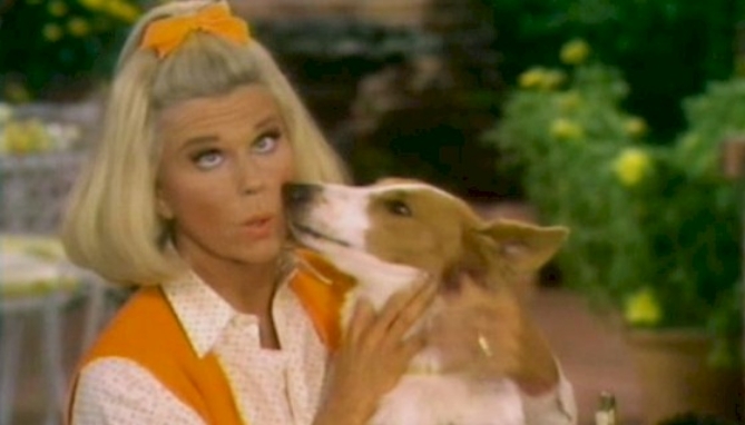 Picture 2 of The Doris Day Special on DVD
