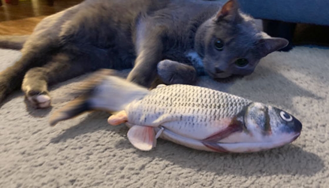 Picture 4 of Cat Kicker Toy: Fun Floppy Fish