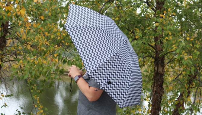 Picture 3 of 42"  Rainstopper Umbrella