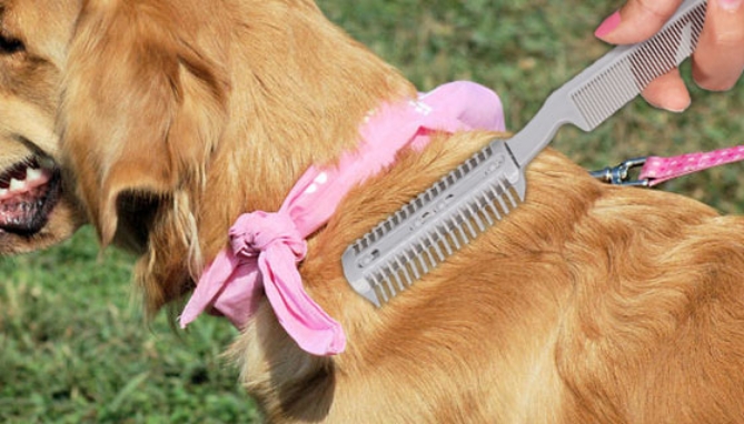 Picture 3 of Pet Hair Trimmer And Detangler For Long And Short Hair Breeds
