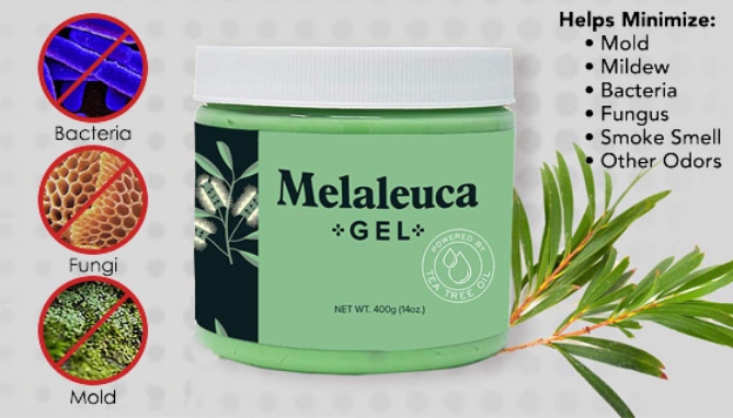 Picture 3 of Safe-Tea Fresh Air Gel w/ Melaleuca (Tea Tree) Oil
