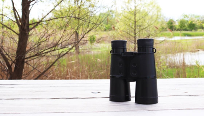 Picture 3 of SunTone Compact Binoculars
