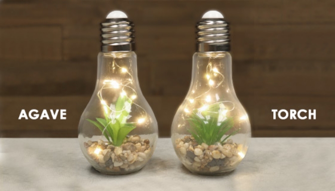 Picture 5 of Light-up Terrarium Glass Light Bulbs - Set of 2