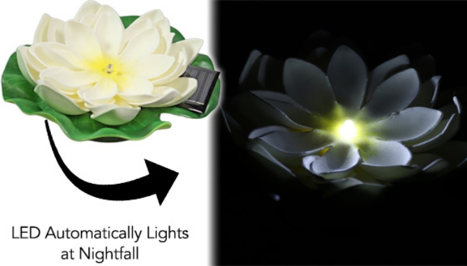 Picture 5 of Solar Floating Lotus Flower Lights 2-Pack