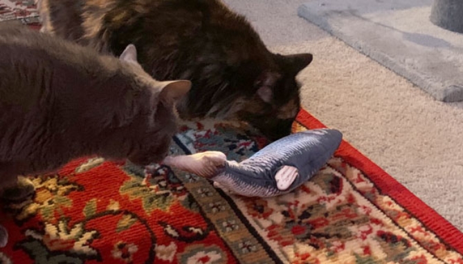 Picture 5 of Cat Kicker Toy: Fun Floppy Fish