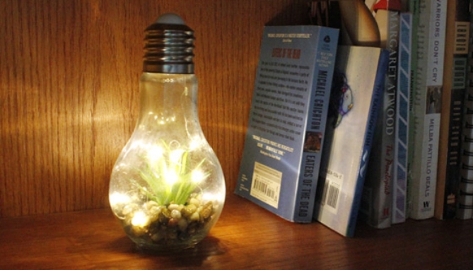 Picture 6 of Light-up Terrarium Glass Light Bulbs - Set of 2