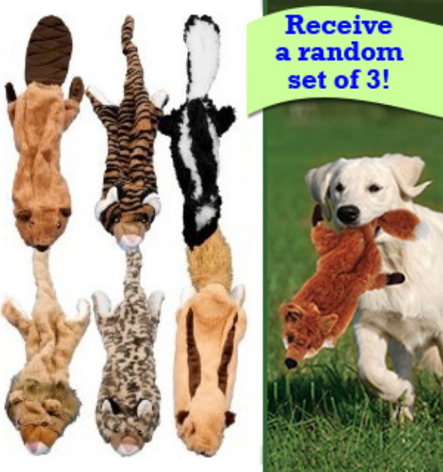 Picture 1 of Crazy Critters Stuffing Free Dog Toys Set of 3