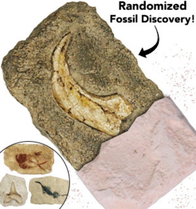 Picture 1 of Dig & Discover Fossil Replica Kit