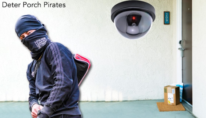 Picture 4 of Faux Security Camera - Dome Style with Light
