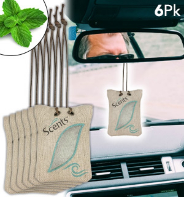 Picture 1 of Peppermint Scents Air Freshener & Aromatherapy Sachets (6-Pack)