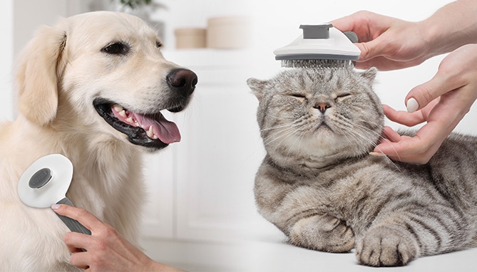 Click to view picture 2 of Self-Cleaning Pet Brush
