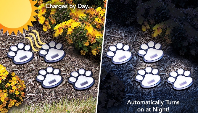 Picture 2 of 4PK Cordless Paw Print Solar LED Lights