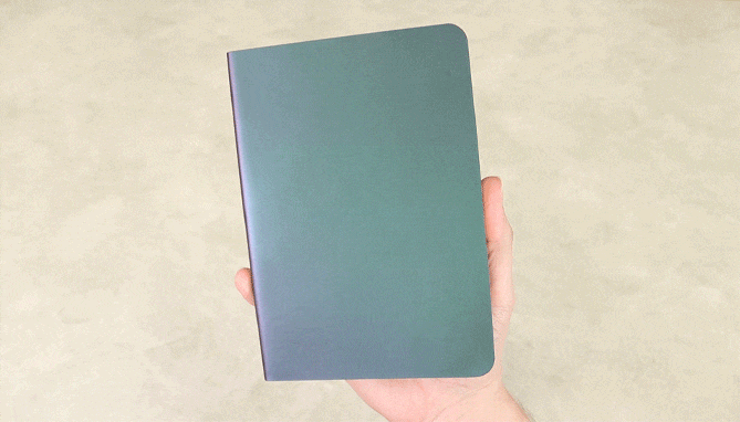 Chameleon Notebook